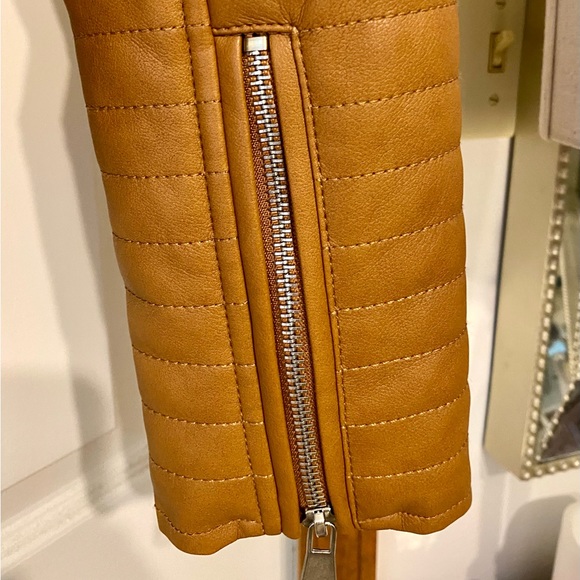 Womens Bagatelle moto jacket - Picture 9 of 12